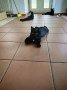 Teddy (13)